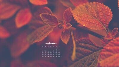 September 2023 wallpapers – 45 FREEBIES for desktop & phones!
