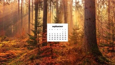 September 2023 wallpapers – 45 FREEBIES for desktop & phones!