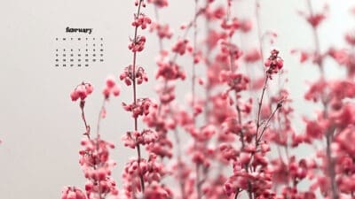 February 2024 wallpapers – 60 FREEBIES for desktop & phones!