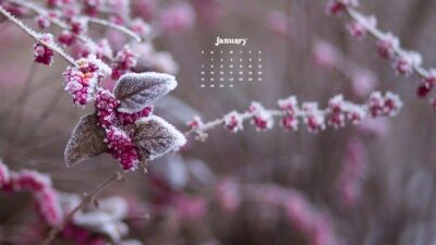 January 2024 wallpapers – 60 FREEBIES for desktop & phones!