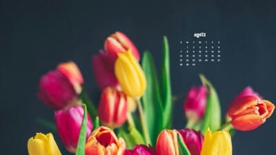 April 2024 wallpapers – 60 FREEBIES for desktop & phones!