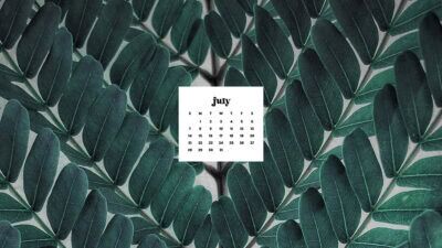 July 2024 wallpapers – 60 freebies for desktop & phones!