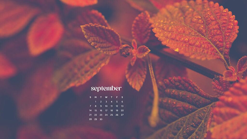 September Backgrounds