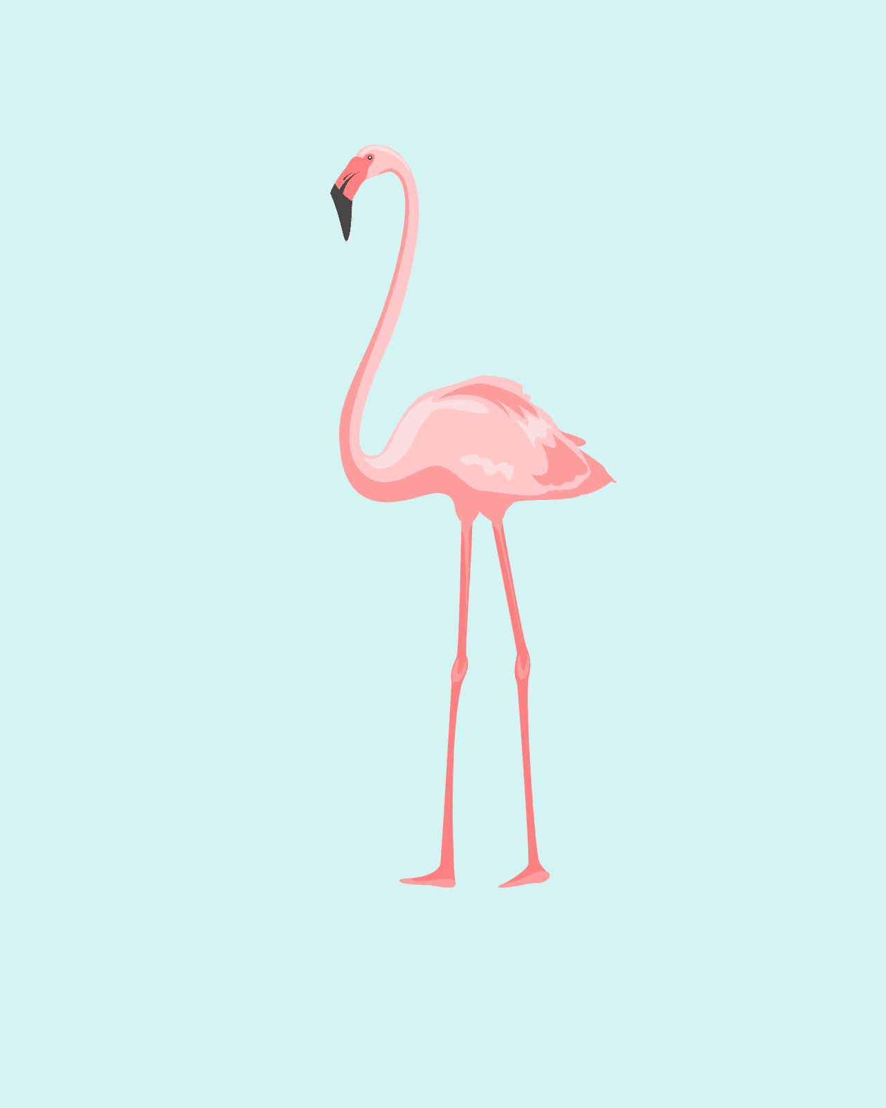 Pretty in Pink' flamingo print