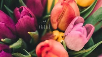 April 2022 wallpapers – 55 FREE calendars for your desktop & phone!