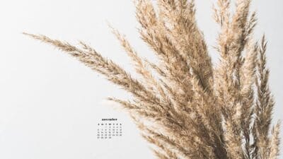 November 2022 wallpapers – 59 FREE desktop & phone calendars