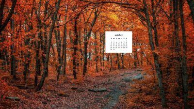 October 2022 wallpapers – 60 FREE desktop & phone calendars